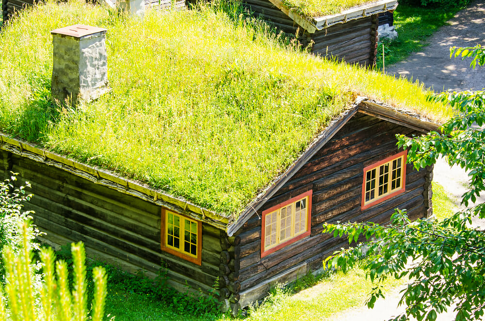 Green Roof